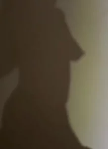 骚货倒影lzx
